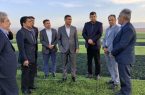 عزم جدی مسئولان برای تکمیل استادیوم ۵ هزار نفری پیشوا