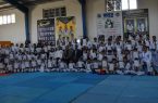 برگزاری کارگاه آموزشی تکواندو ITF در نقده و تجلیل از قهرمانان مسابقات کشوری